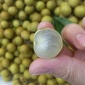 **泰国龙眼批发包邮当季水果桂圆应急整箱批发