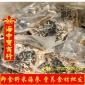 【即食海参】加热即食野米海参 大量鲍鱼即食关东参营养食材批发