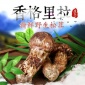 2019松茸1斤香格里拉**野生松茸顺丰冷链72小时达美味山珍尝鲜