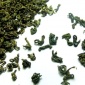 散装高山茶叶/曲毫炒青绿茶 大芽茶 春季新茶/茶农批发价特卖